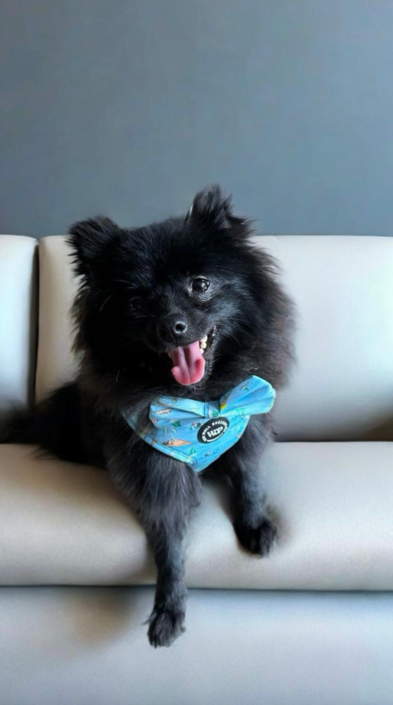 Bark Beach Bow Tie (Blue)