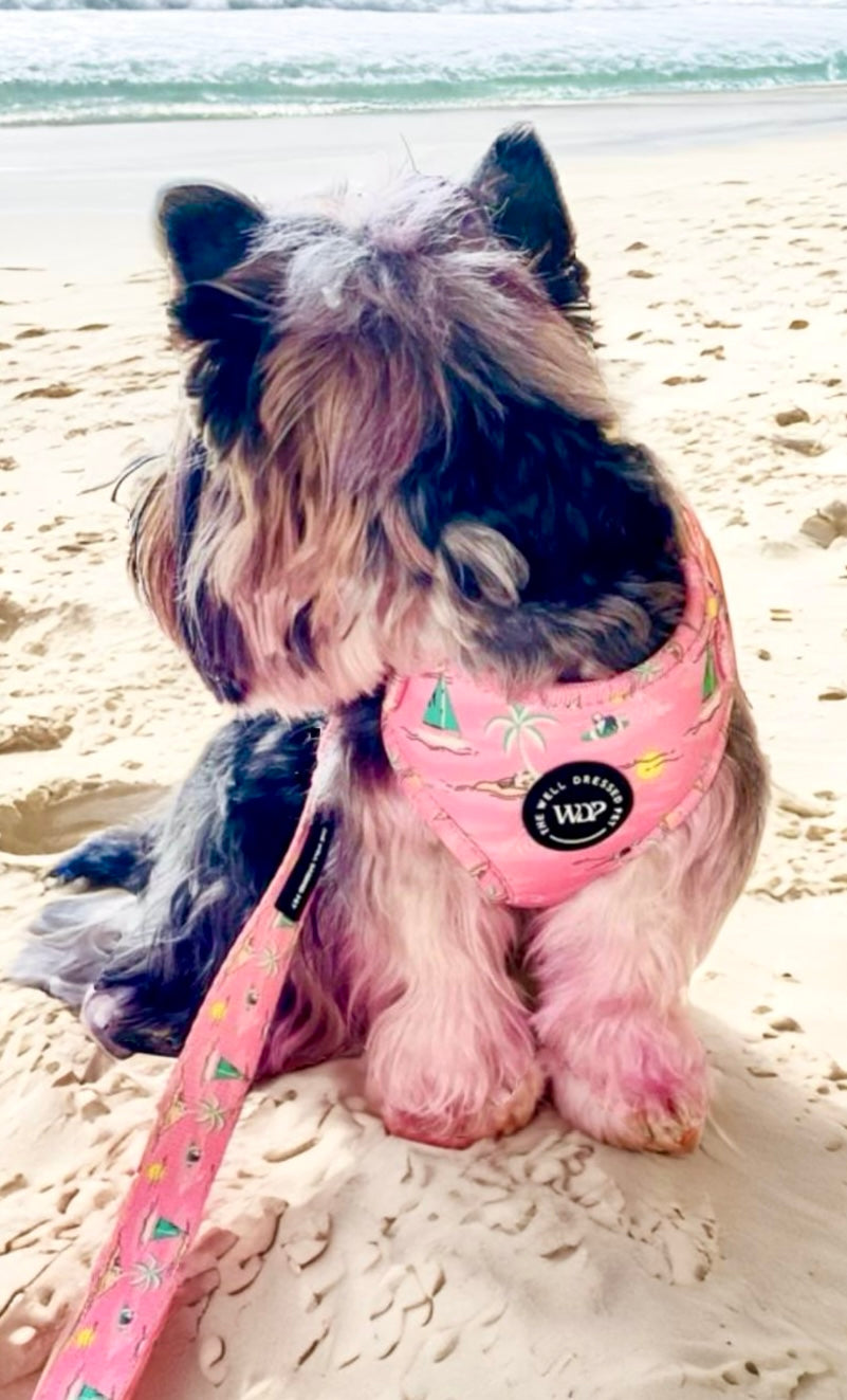 Bark Beach Dog Harness (Pink)