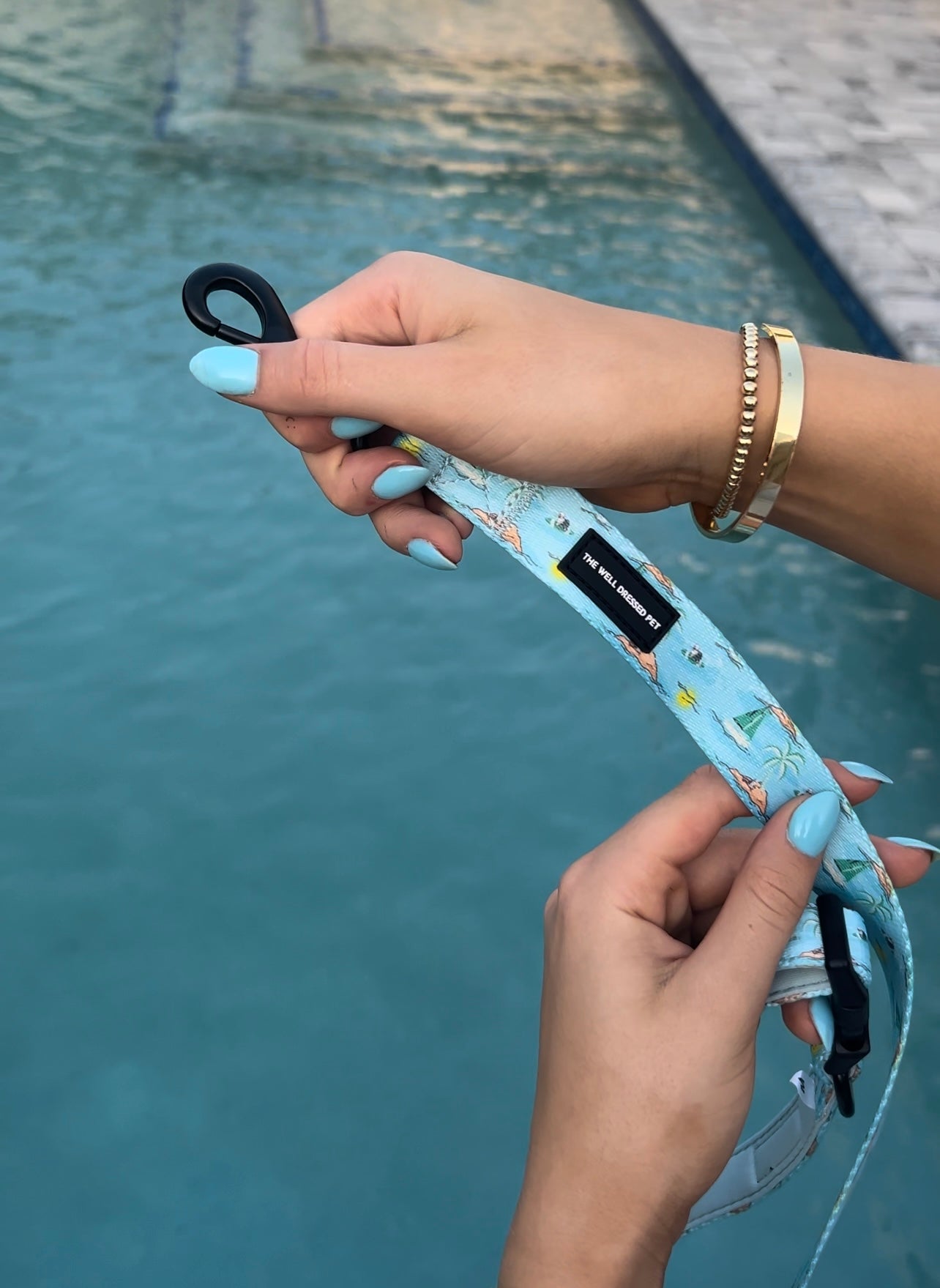 Bark Beach Leash (Blue)