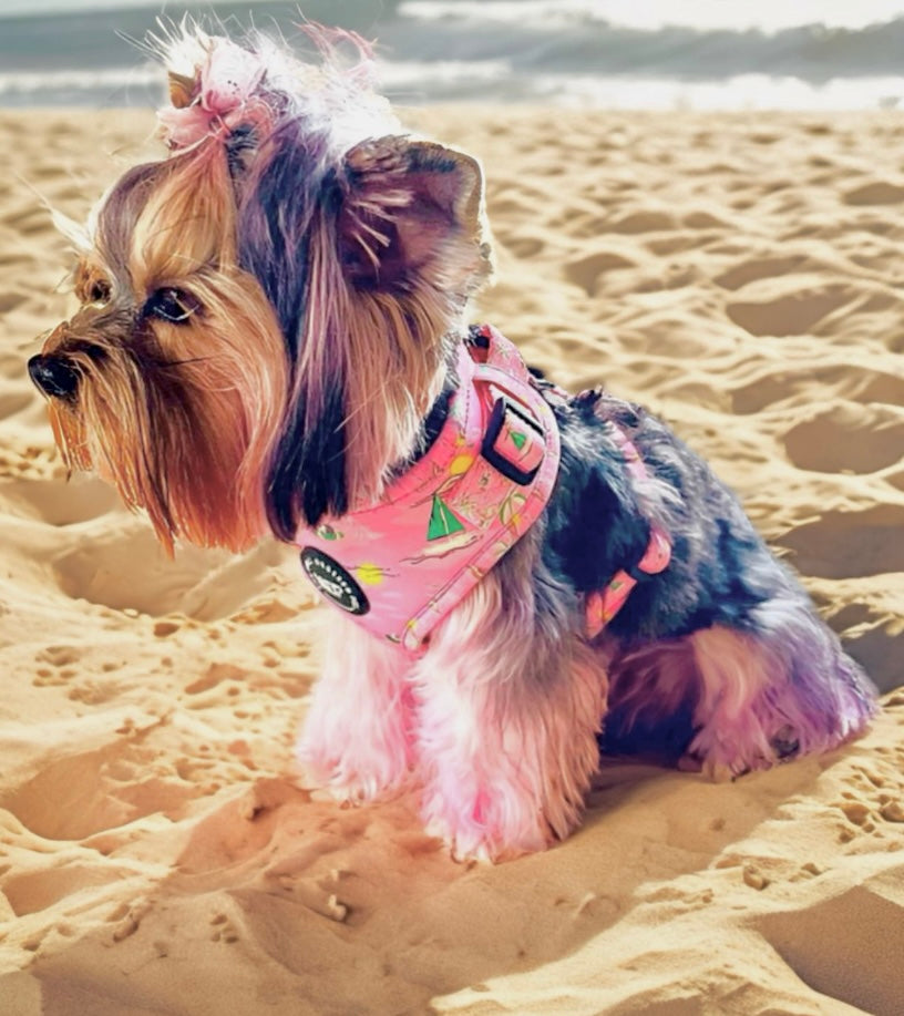 Bark Beach Dog Harness (Pink)