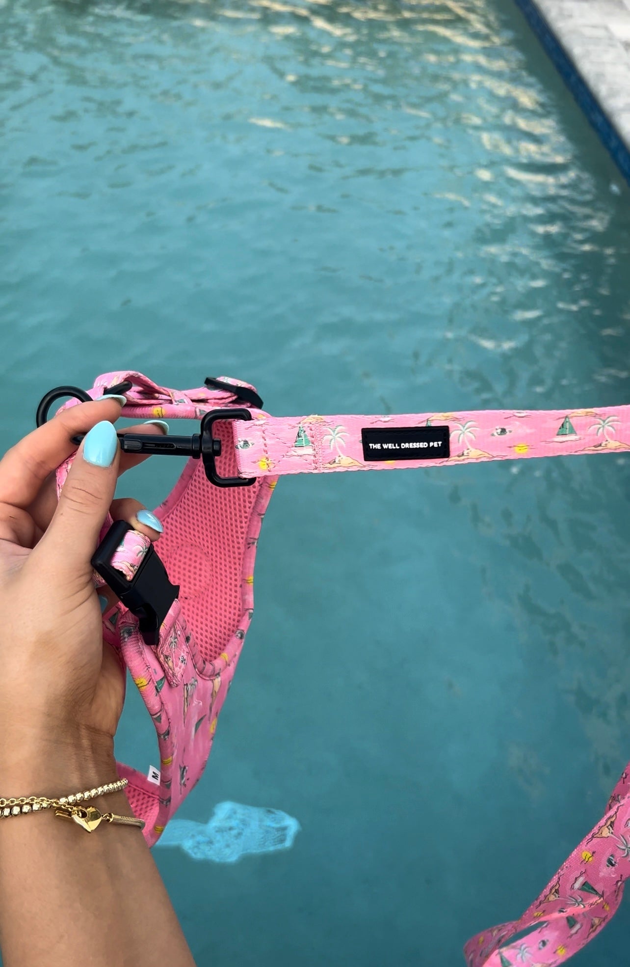 Bark Beach Leash (Pink)