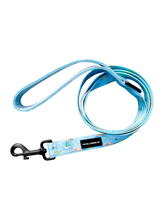 Bark Beach Leash (Blue)