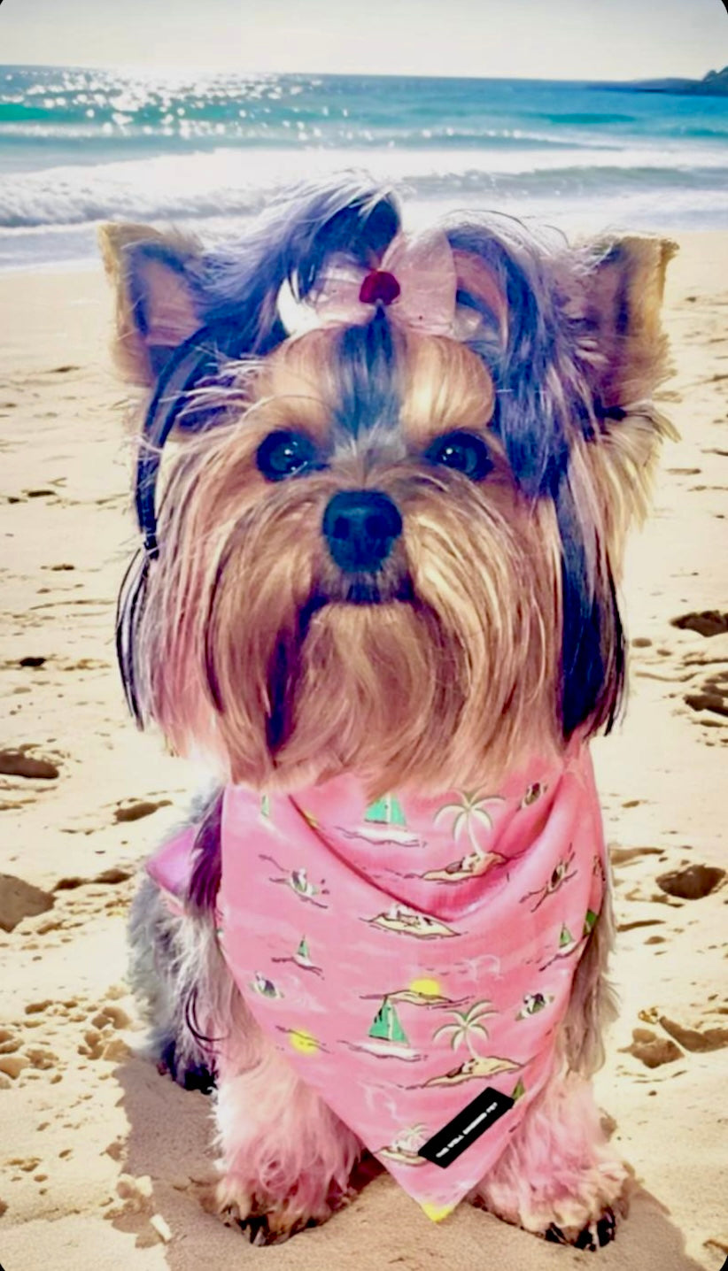 Bark Beach Bandana (Pink)